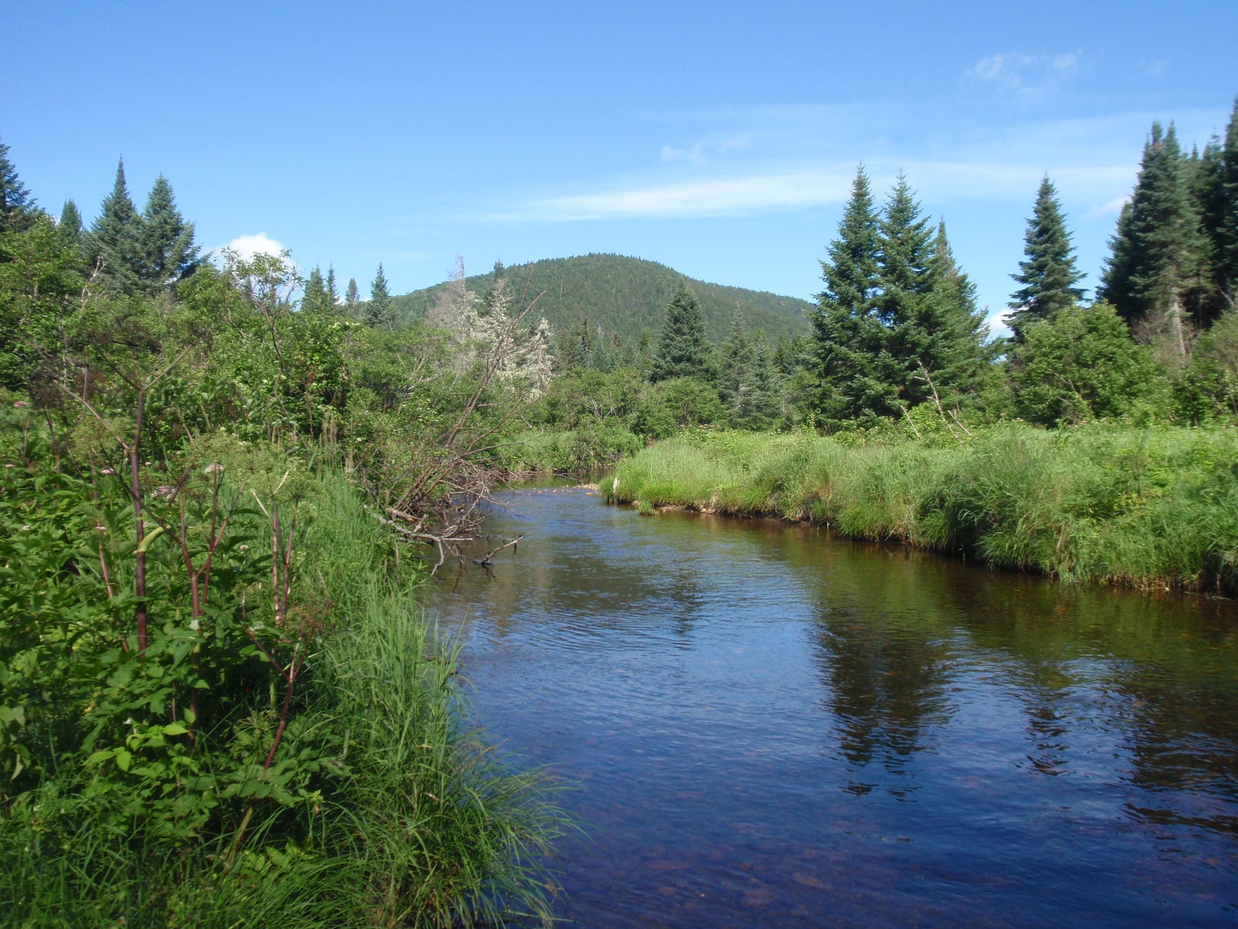 Rangeley Region Fishing Report - July 4 2024