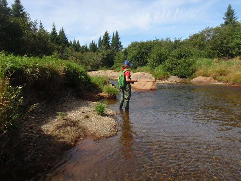 cupsuptic river flyfishing from maineflyshop