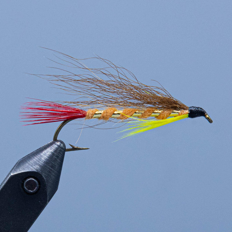 wardens worry at a maine fly shop