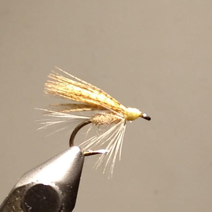 light cahill at a maine fly shop