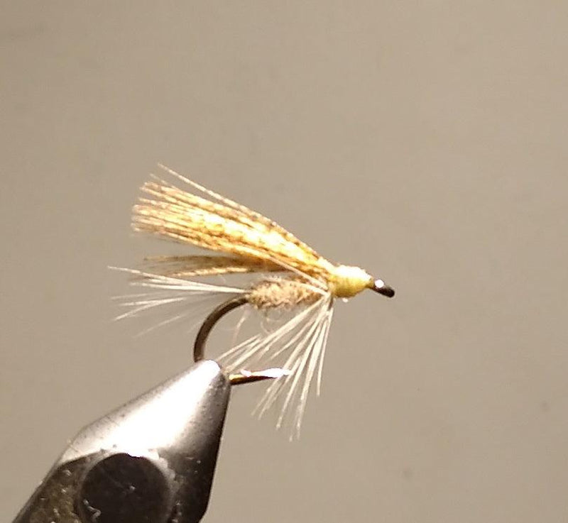 light cahill at a maine fly shop