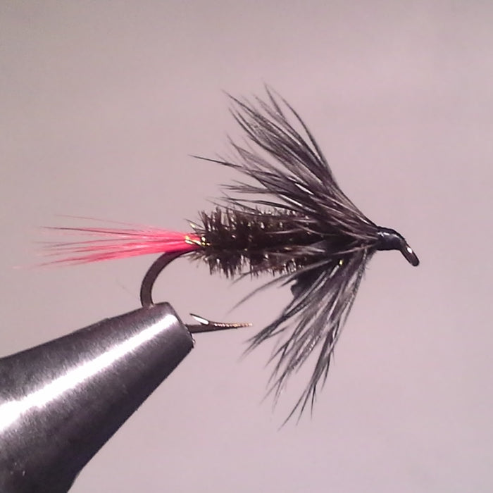 gray hackle fly from rangeley fly shop