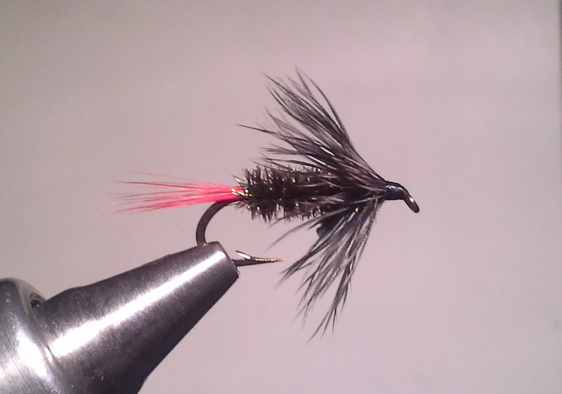 gray hackle fly from rangeley fly shop