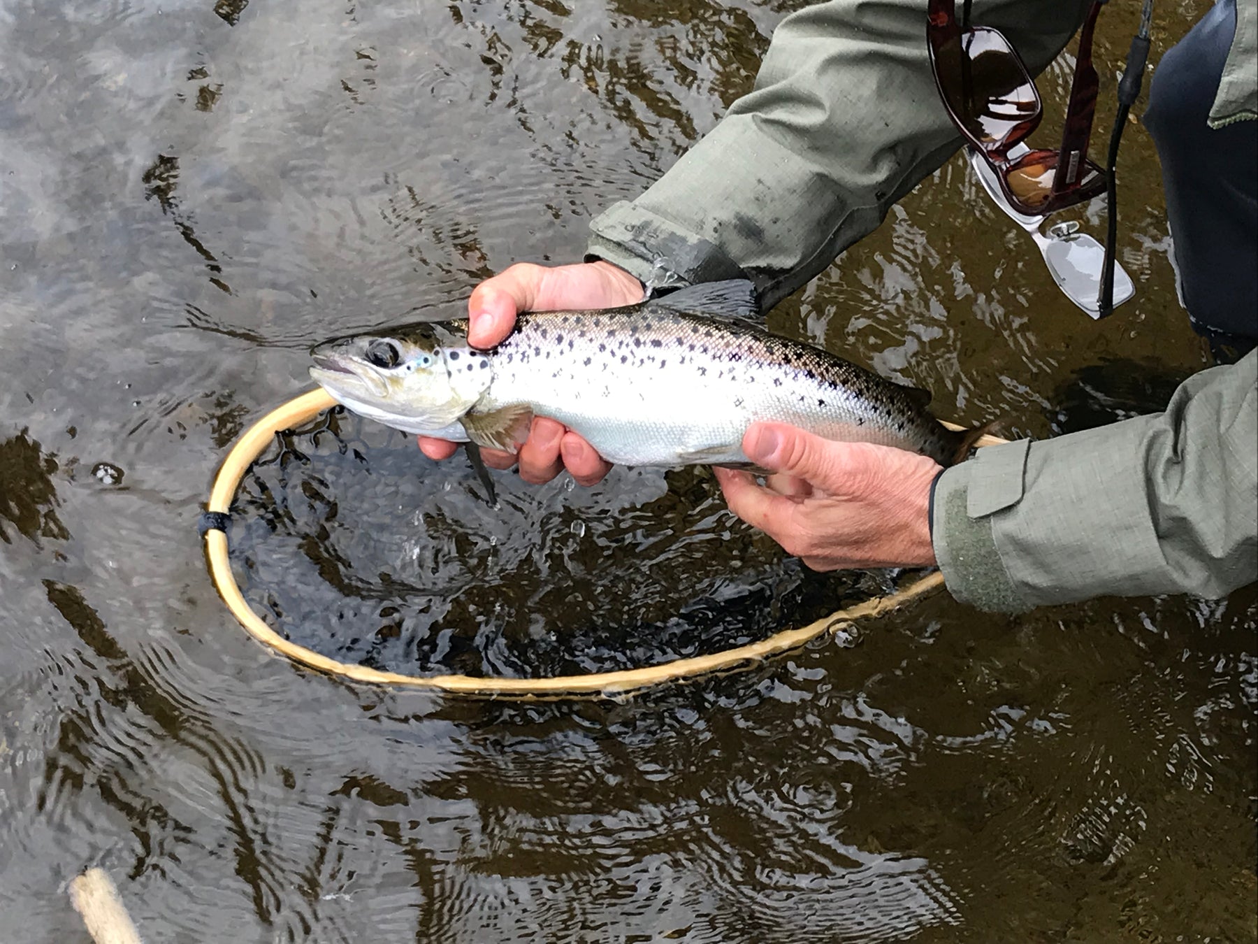 Rangeley Region Fishing Report - June 13 2024