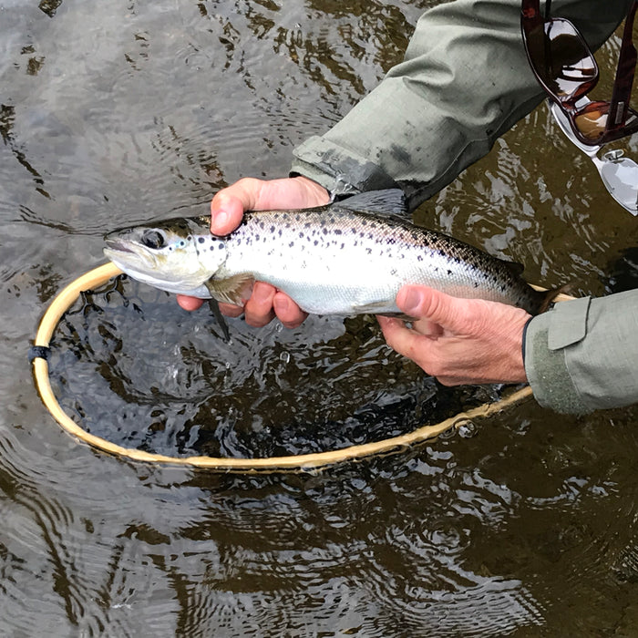 Rangeley Region Fishing Report - June 13 2024