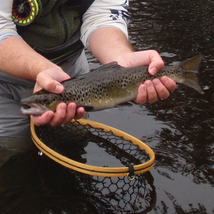 Bagley Lakes fishing report