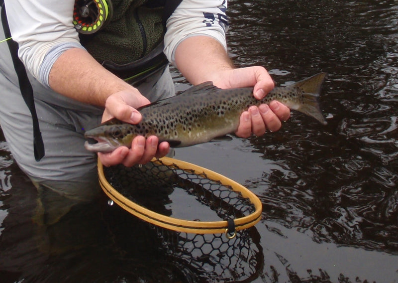 Rangeley Region Fishing Report - Sept. 22 2022