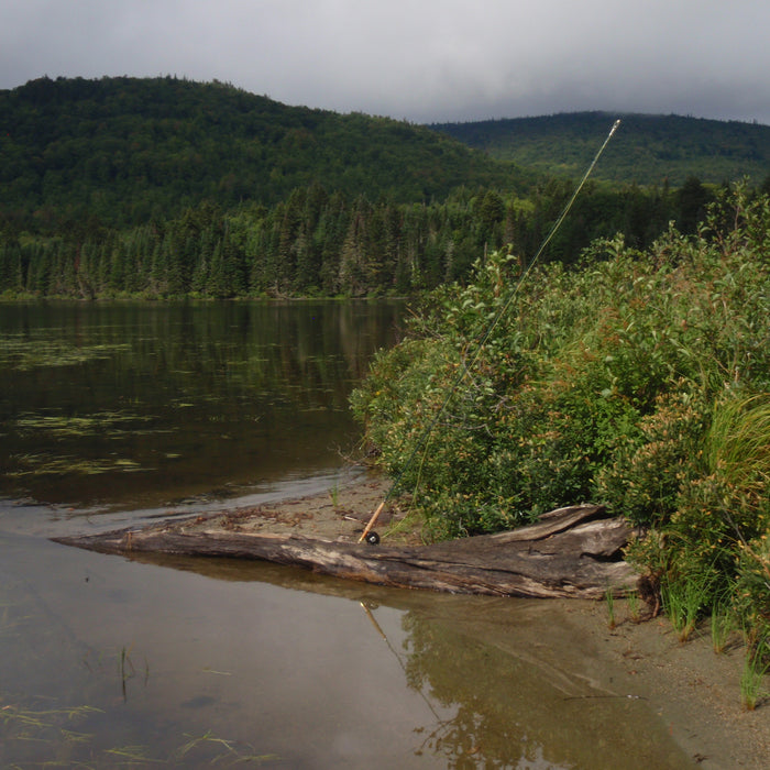 Rangeley Region Fishing Report - May 26 2022