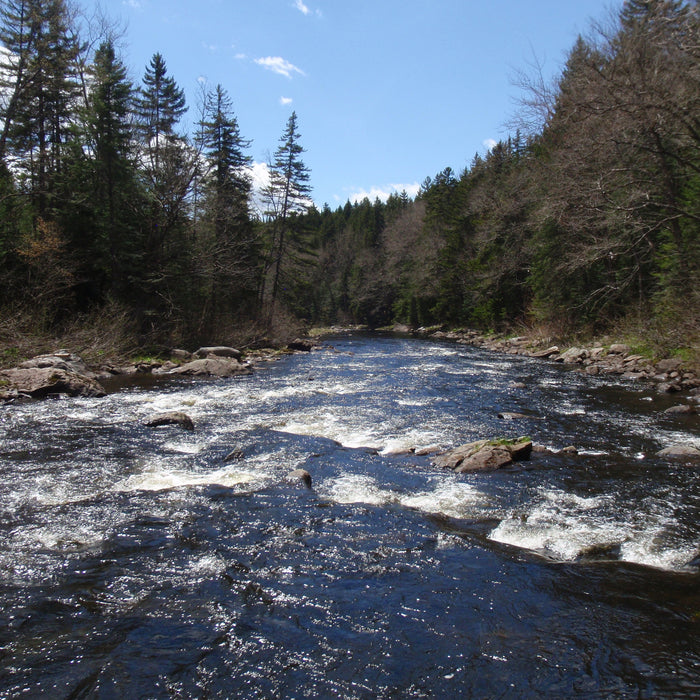 a river in rangeley region