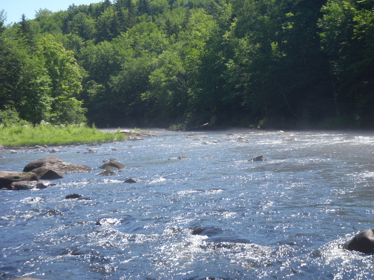 Rangeley Region Fishing Report - August 26 2021 — Rangeley Region 