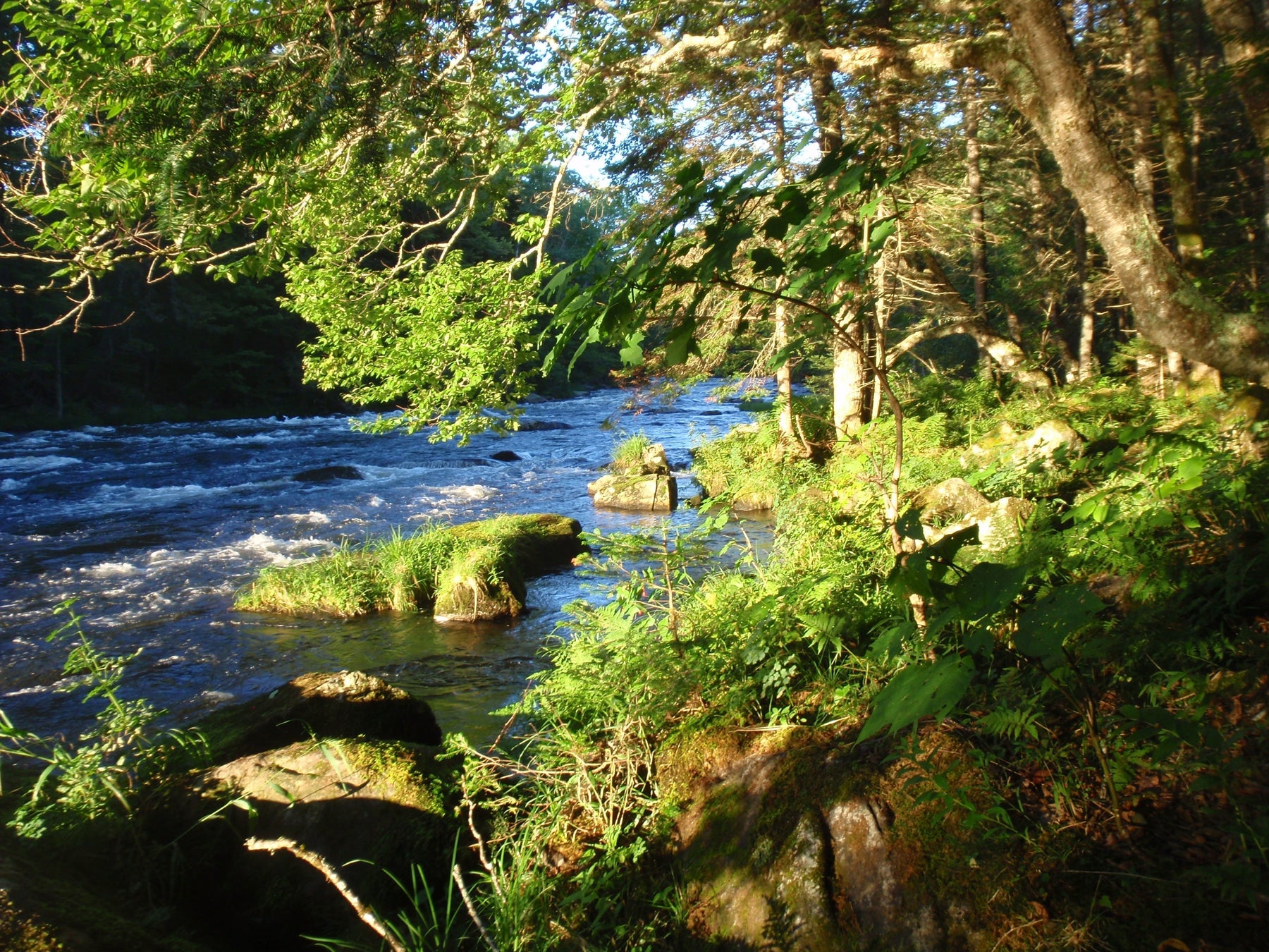 Rangeley Region Fishing Report - July 30 2026