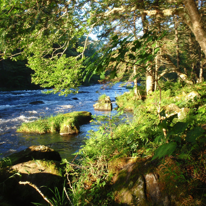Rangeley Region Fishing Report - July 30 2026