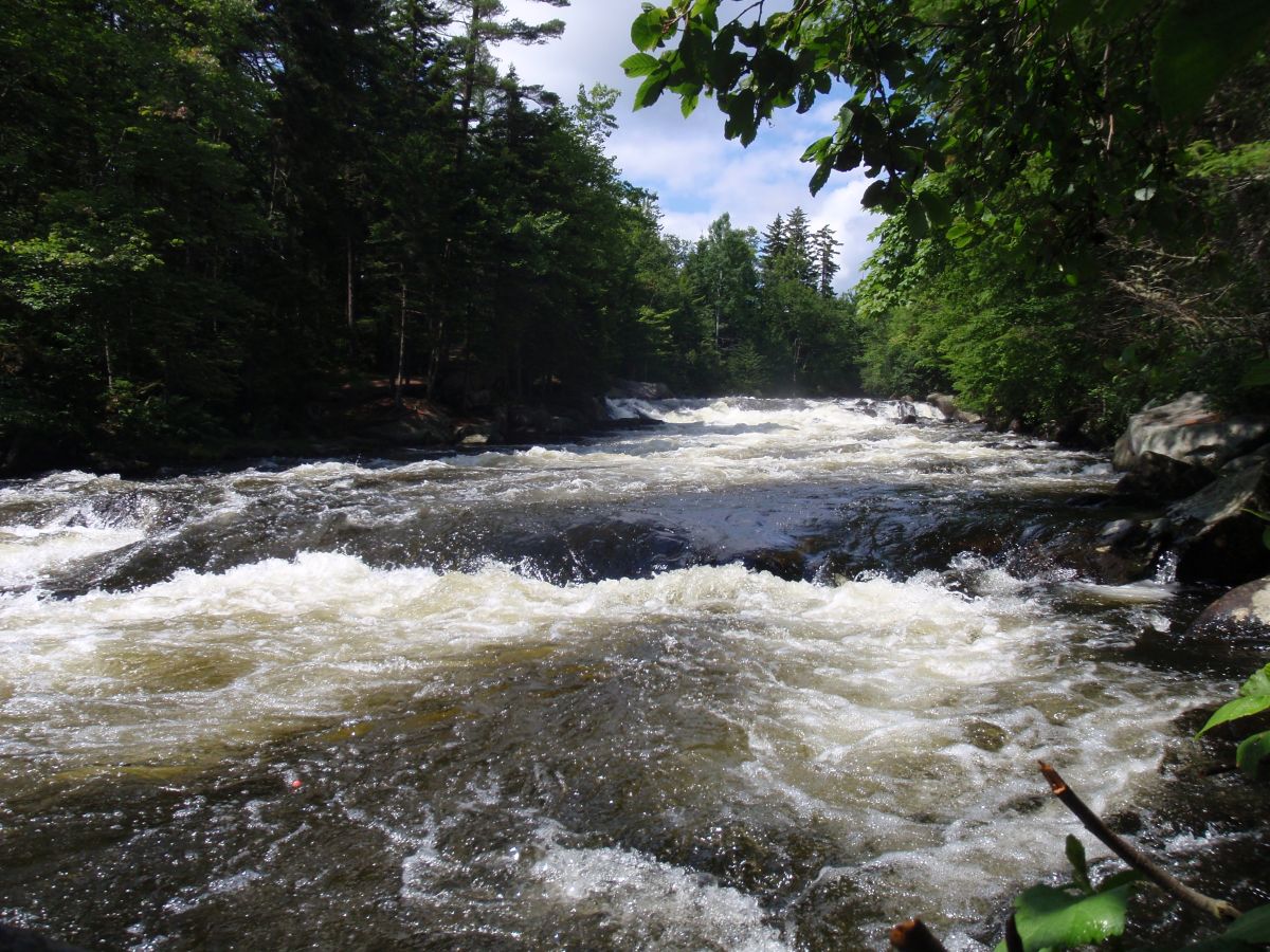 Rangeley Region Fishing Report - June 10 2026