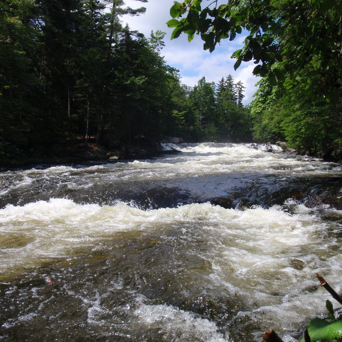 Rangeley Region Fishing Report - June 10 2026