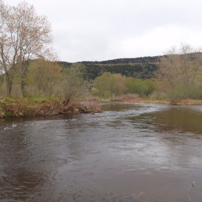 magalloway river in rangeley maine