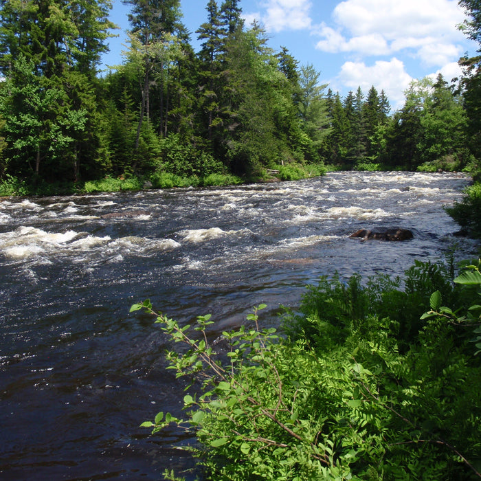 spring run off on a maine fly fishing river by a maine fly shop
