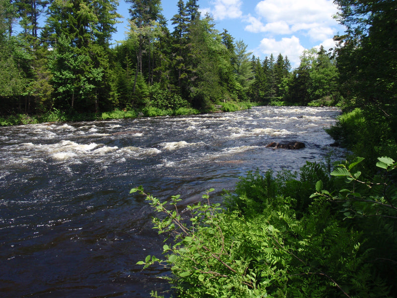 spring run off on a maine fly fishing river by a maine fly shop
