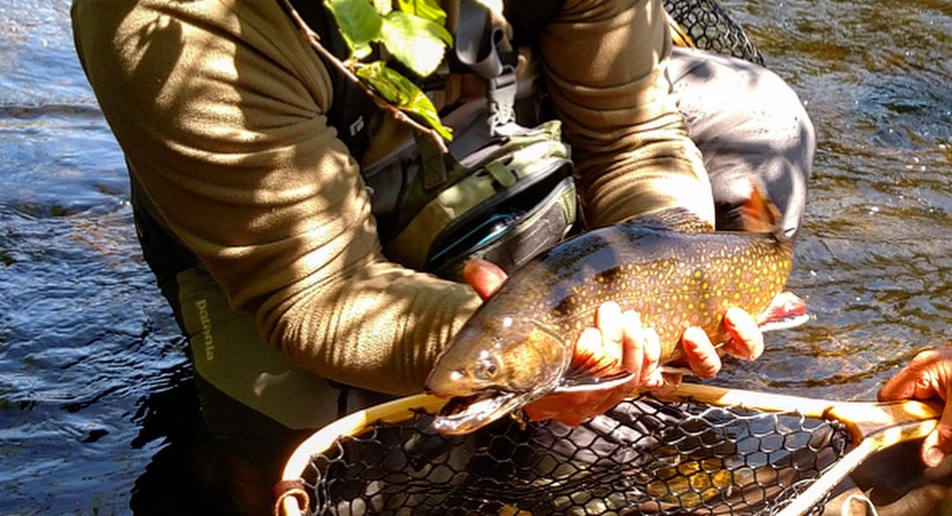 Rangeley Region Fishing Report - June 25 2026
