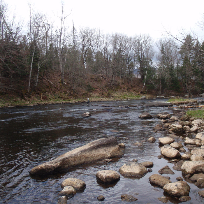 Rangeley Region Fishing Report - May 14 2021