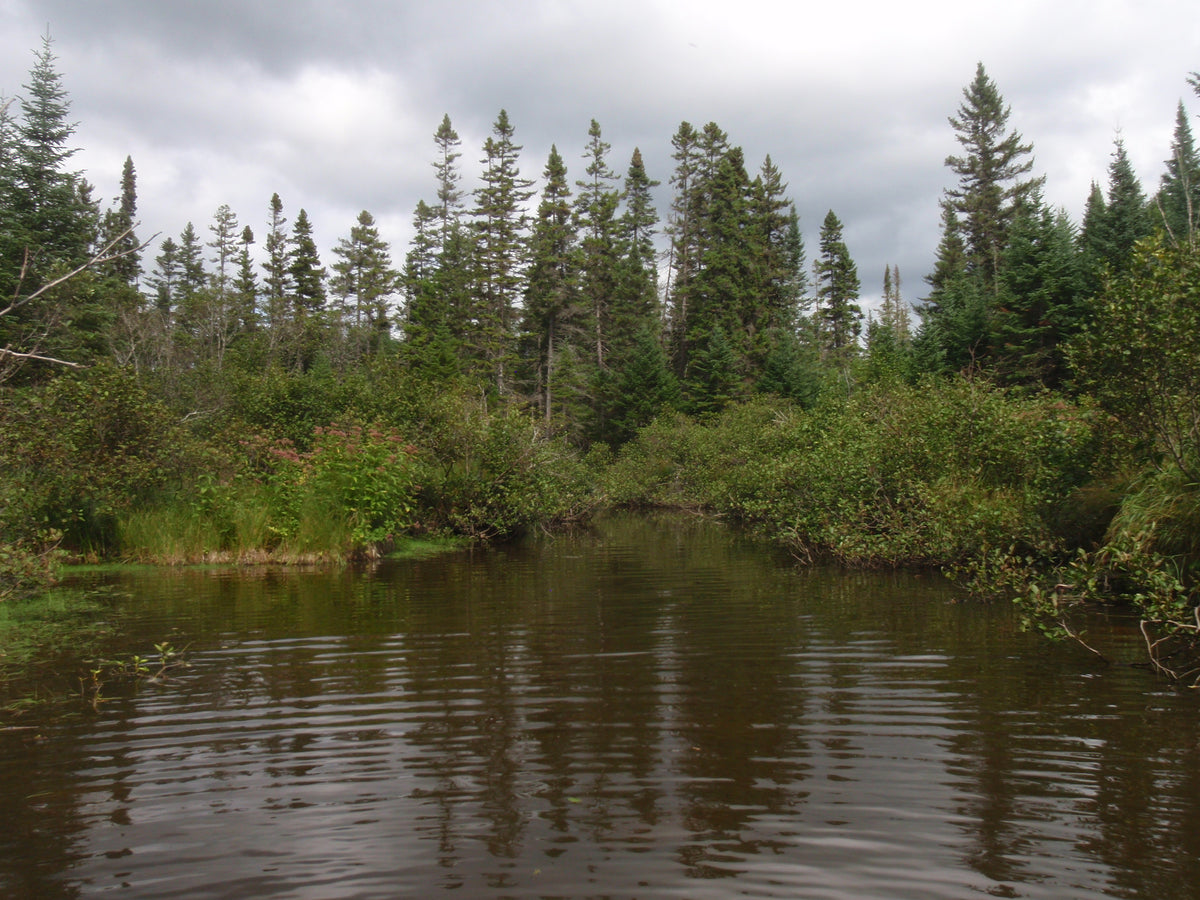 Rangeley Region Fishing Report - Sept. 23, 2021 — Rangeley Region 