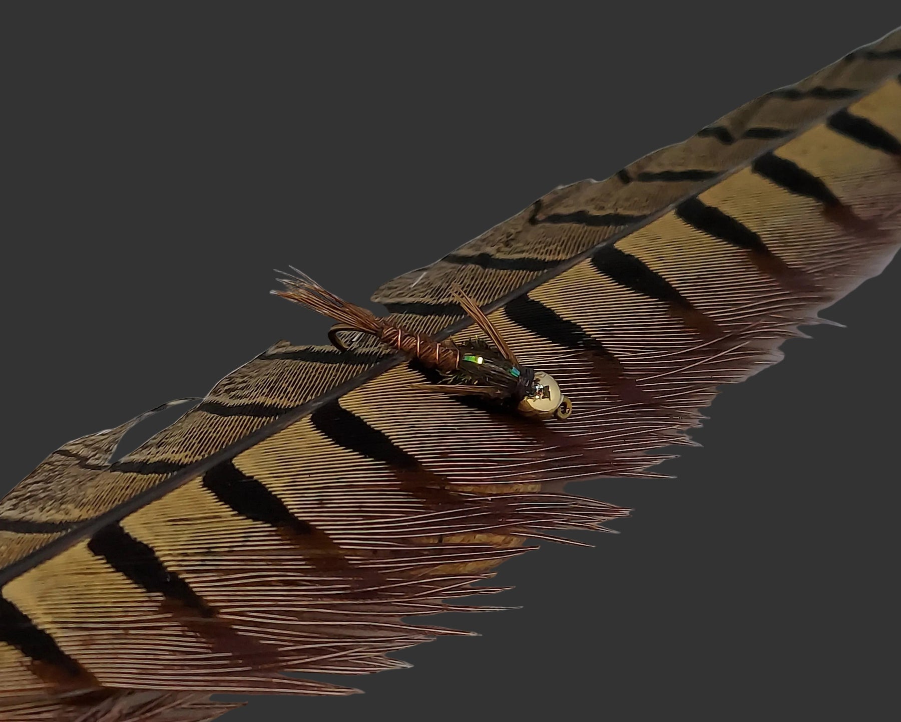 bead head pheasant tail nymph
