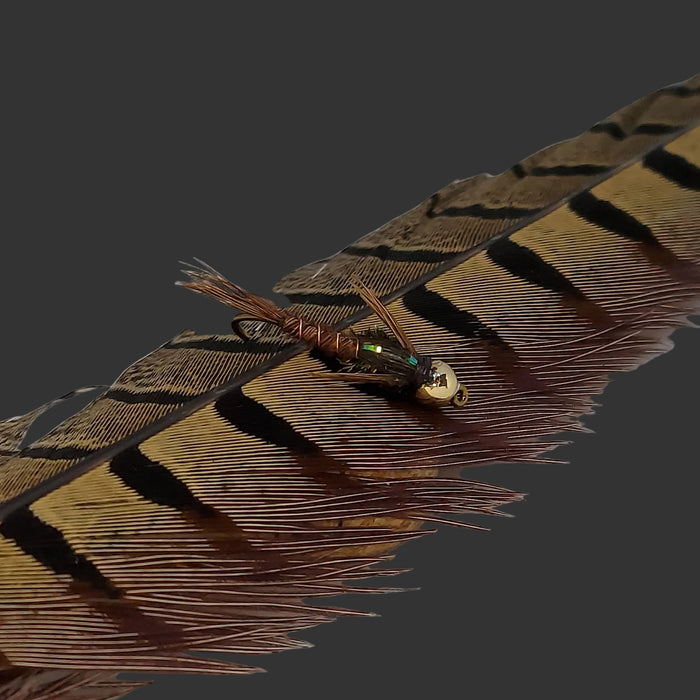 bead head pheasant tail nymph