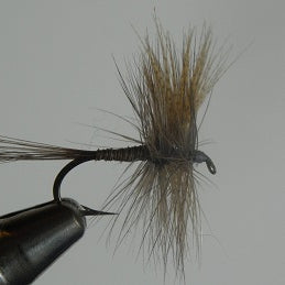 Quill Gordon classic Catskill style dry fly