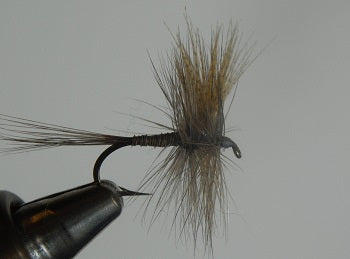 Quill Gordon classic Catskill style dry fly