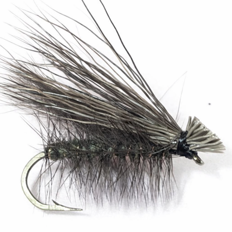 Quimby Caddis