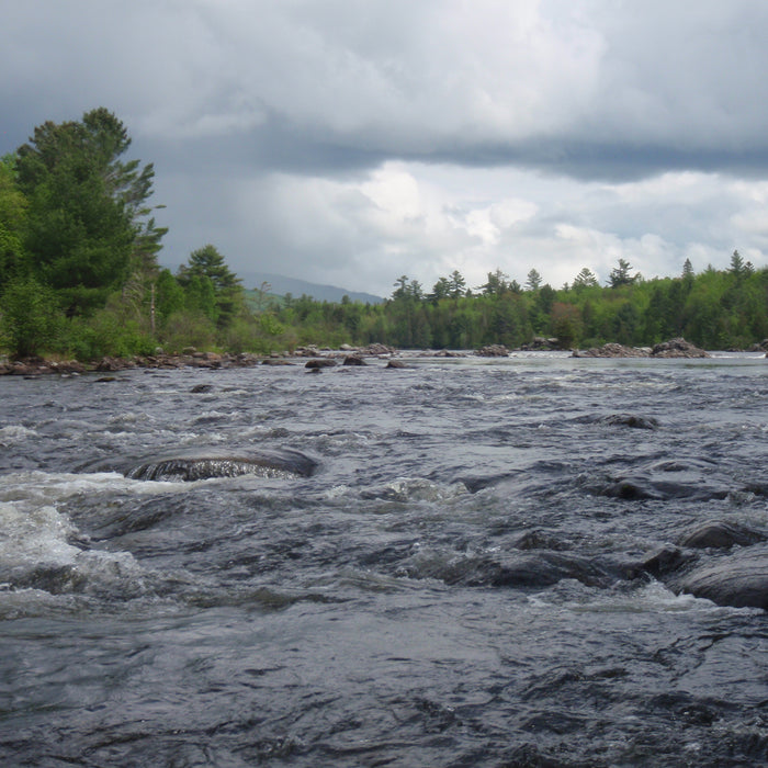 rapid river in western maine maine fly fishing