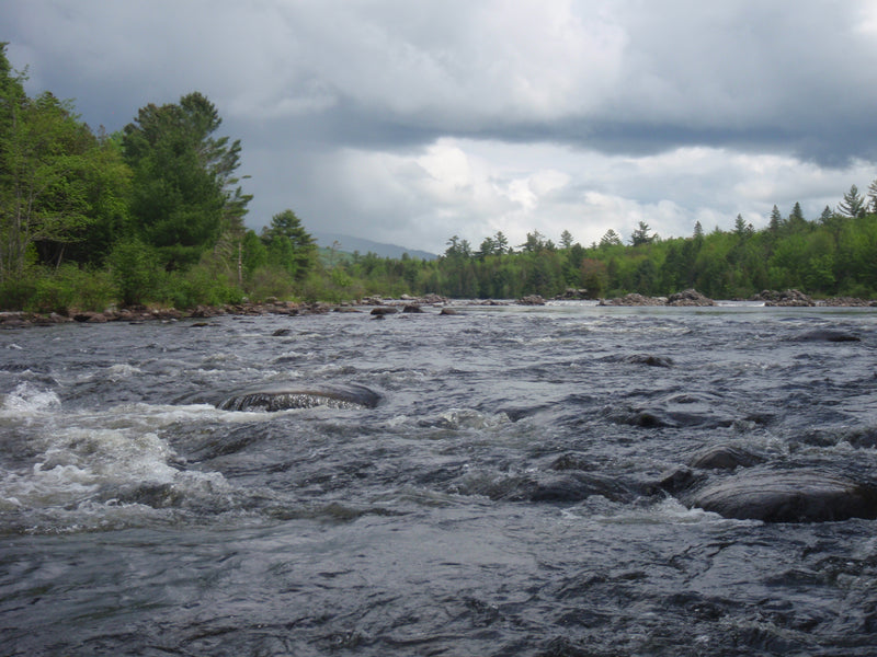 rapid river in western maine maine fly fishing