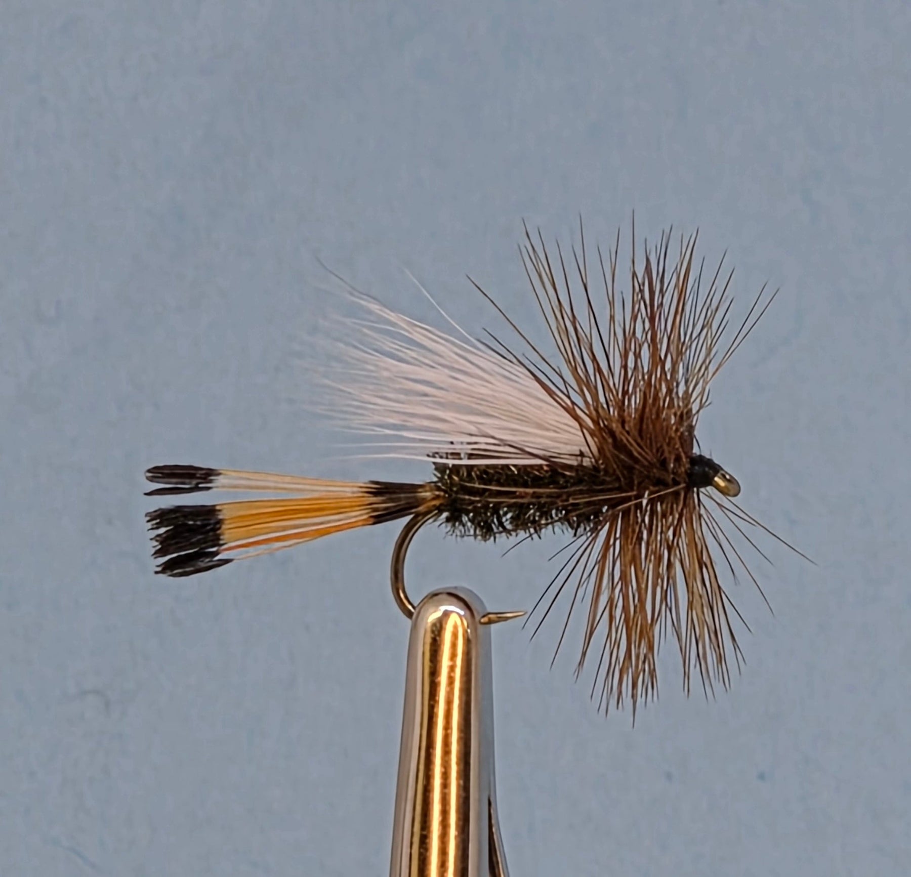 western coachman fly