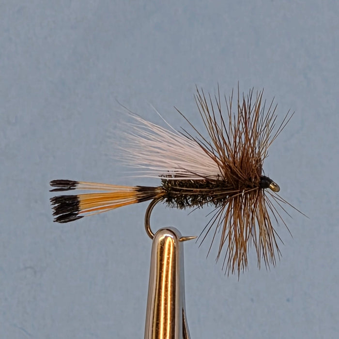 western coachman fly