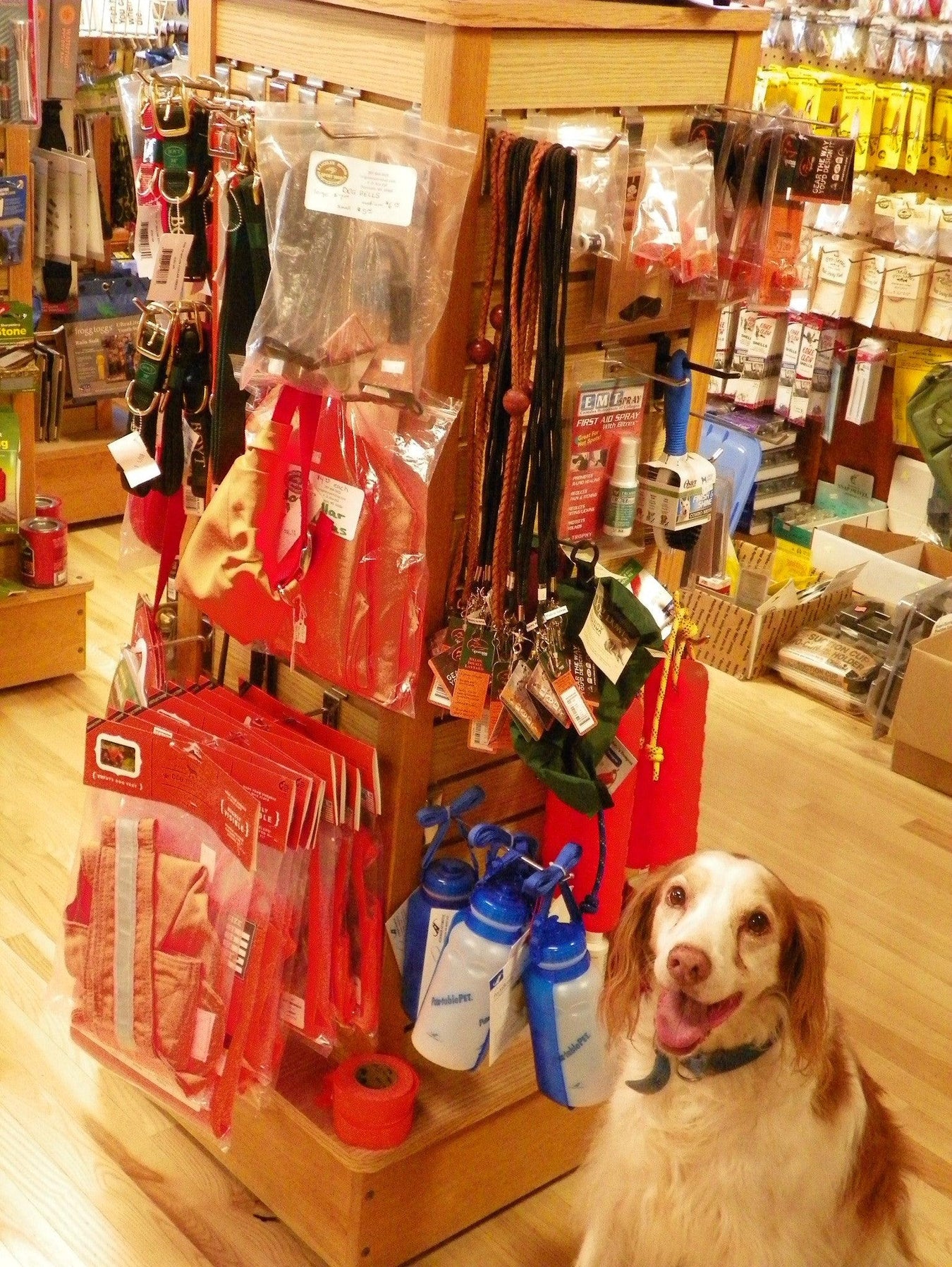 Dog Supplies - Rangeley Region Sports Shop