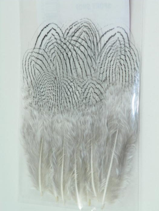 Silver pheasant body plumage feathers, layered gray quill pattern and fluffy white tips