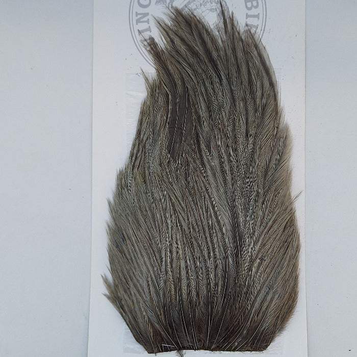Gray-brown mottled feather hackle tuft with fine, tapered barbs