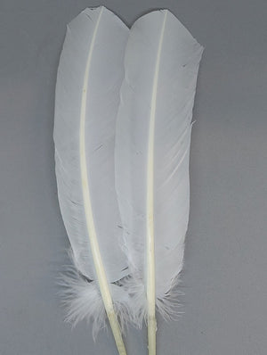 two white turkey feathers used for fly tying.