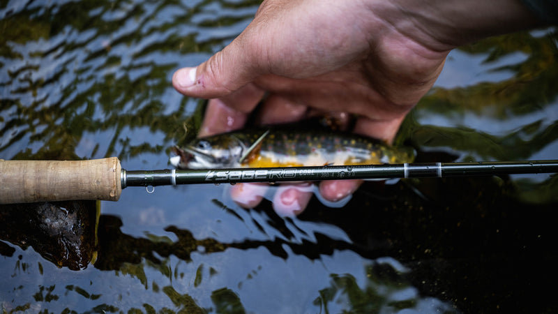 Hand holding fly rod with light cork handle and dark blank over water