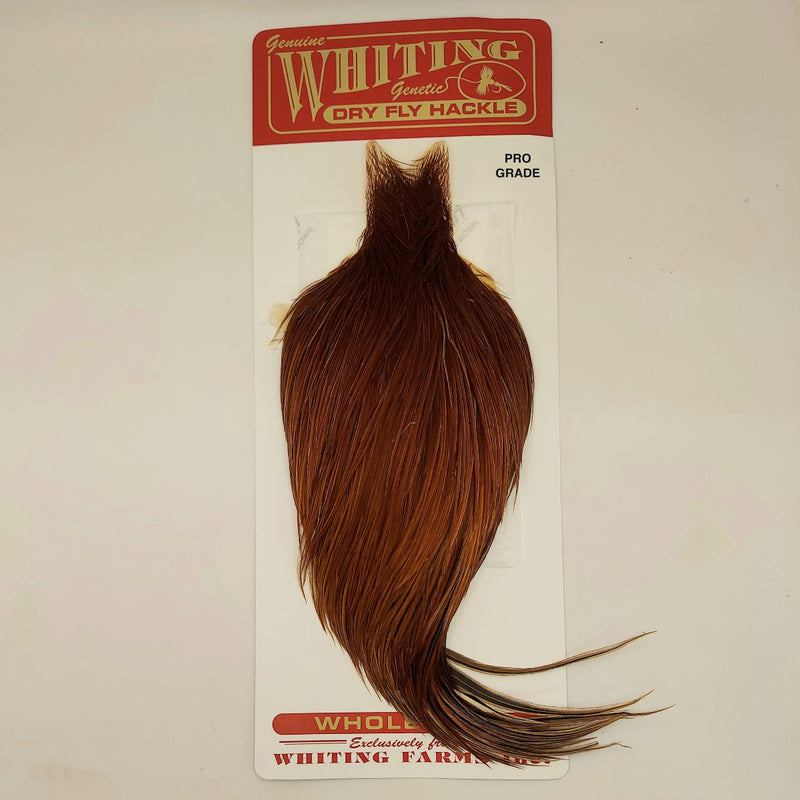 Whiting Farms pro grade brown dry fly hackle cape with long feathers