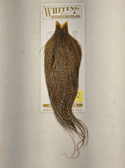 Mustard-gold and dark speckled hackle cape on backing card, loose feather strands.
