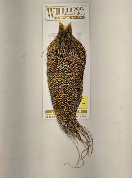 Mustard-gold and dark speckled hackle cape on backing card, loose feather strands.