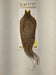 Mustard-gold and dark speckled hackle cape on backing card, loose feather strands.