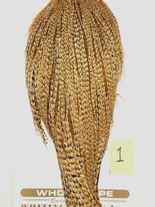 Gold and brown speckled hackle cape, full length with flowing feather fringe.