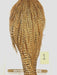 Gold and brown speckled hackle cape, full length with flowing feather fringe.