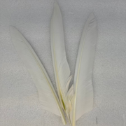 Duck quills bundle, light gray/white feathers with tapered tips