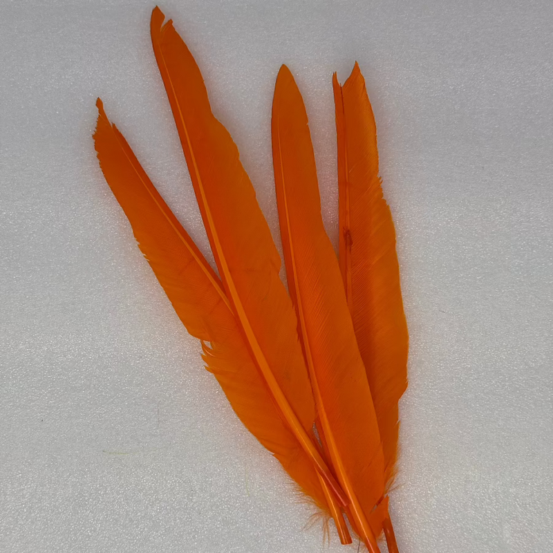 Duck quills bundle in bright orange feather quills