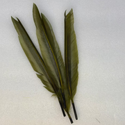 Duck quills bundle in olive green feather quills