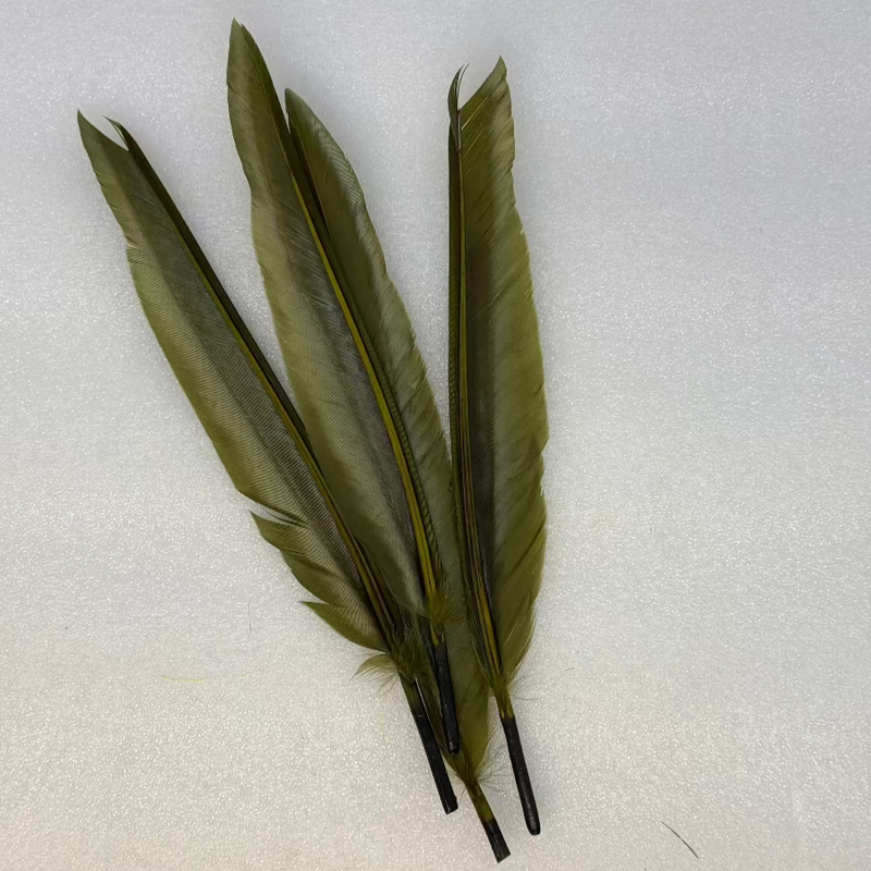 Duck quills bundle in olive green feather quills