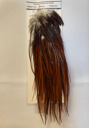 Dry fly saddle with brown hackle and gray-to-tan top fibers