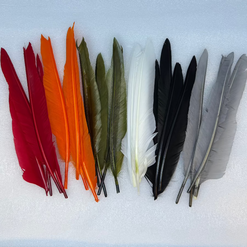 Duck quills set of multicolored feather quills: red, orange, olive, black, white